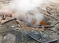 Yellowstone Norris Geyser (48).JPG